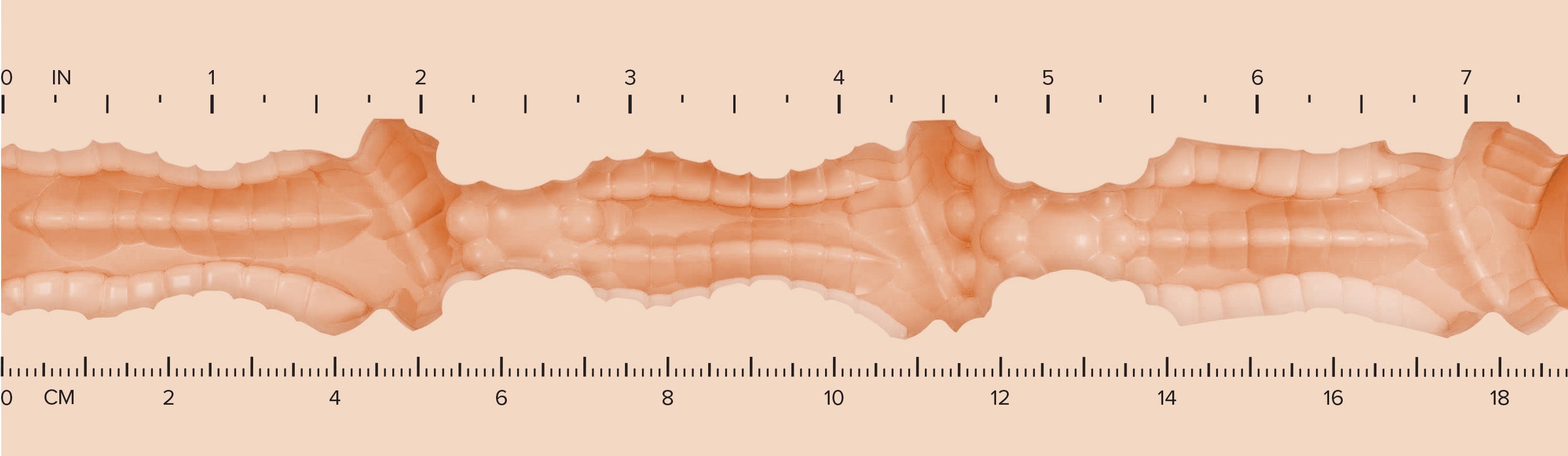 Butt_Texture-Ruler-H-Valentina.jpg